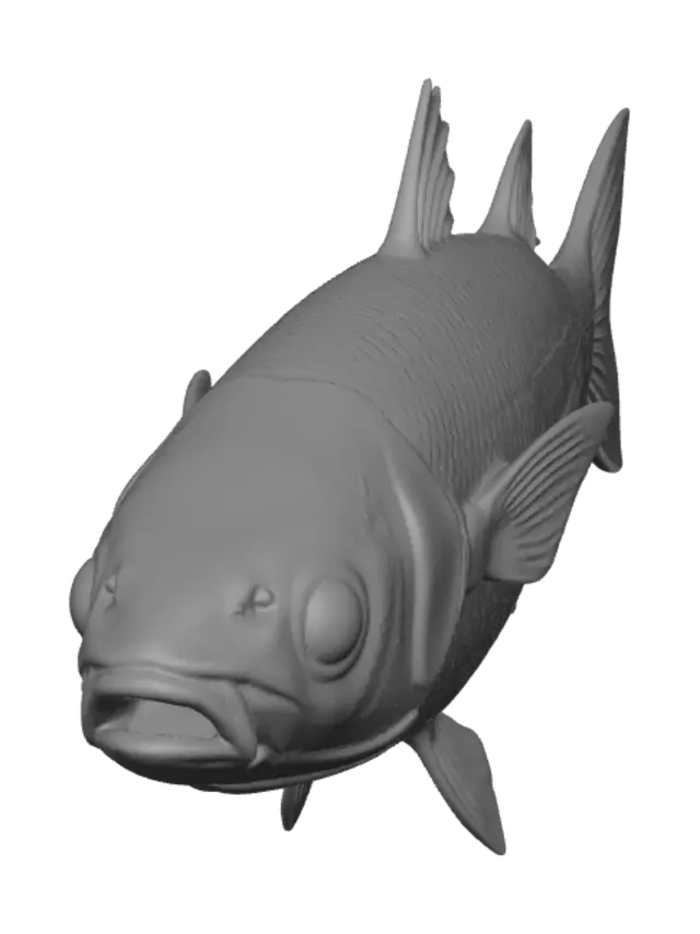 3D model for Grayscale Carp
