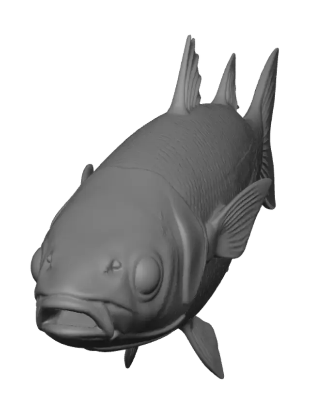 3D model for Grayscale Carp