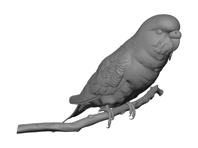 3D model for Sleepy Frog Under a Starry Sky
