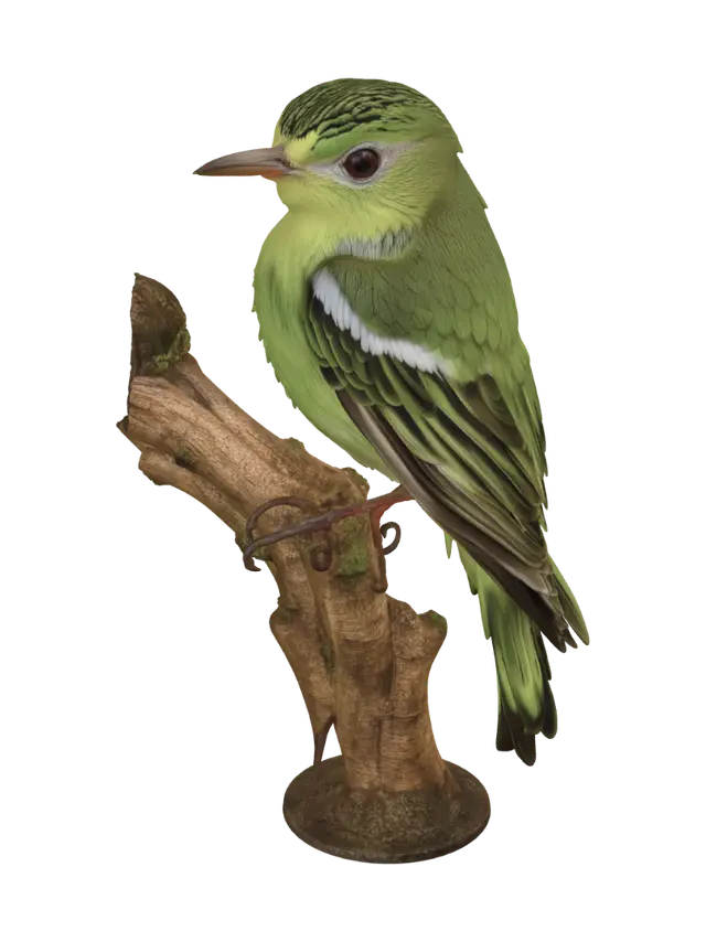Emerald Perch 3D model, vytvořený pomocí AI