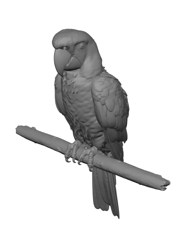 3D model for Scarlet Macaw Perched on a Branch