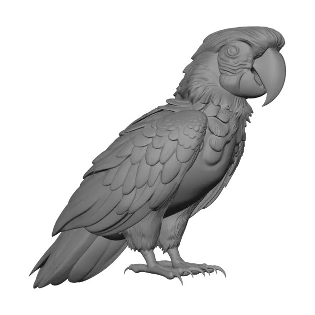 3D model for Sleepy Frog Under a Starry Sky