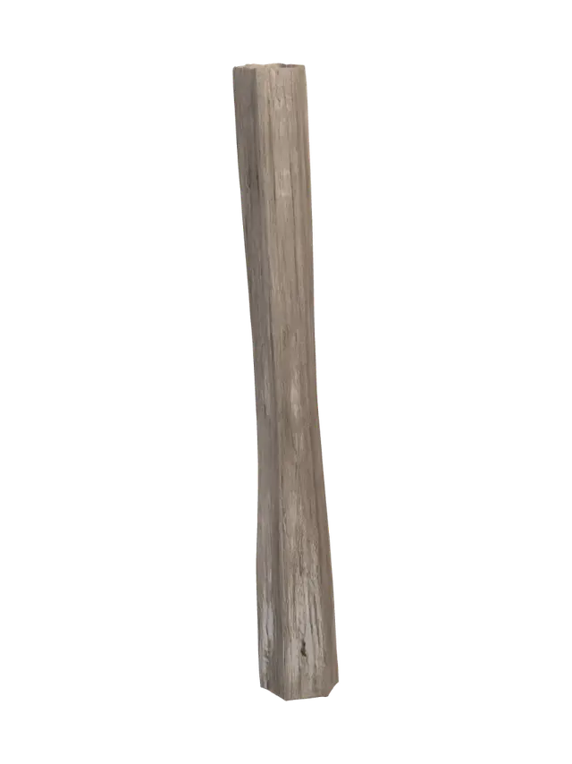 3D model for Solitary Stick