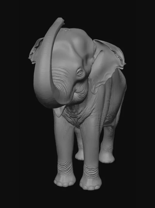 3D model for Curled Trunk Elephant in the Field