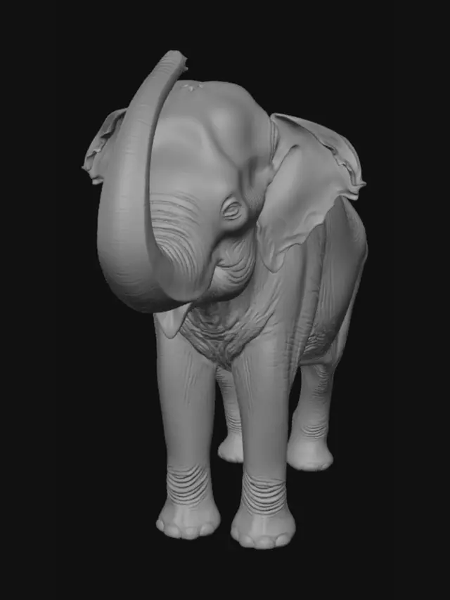 3D model for Curled Trunk Elephant in the Field