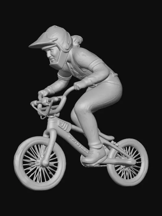3D model for Flight on Two Wheels