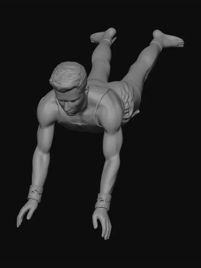 3D model for Flight of a German Gymnast