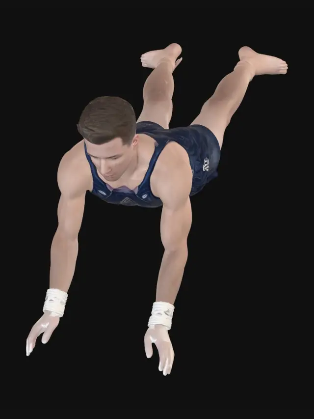 3D model for Flight of a German Gymnast