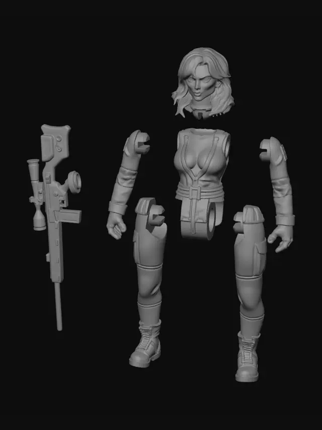 3D model for Fragmented Sentinel