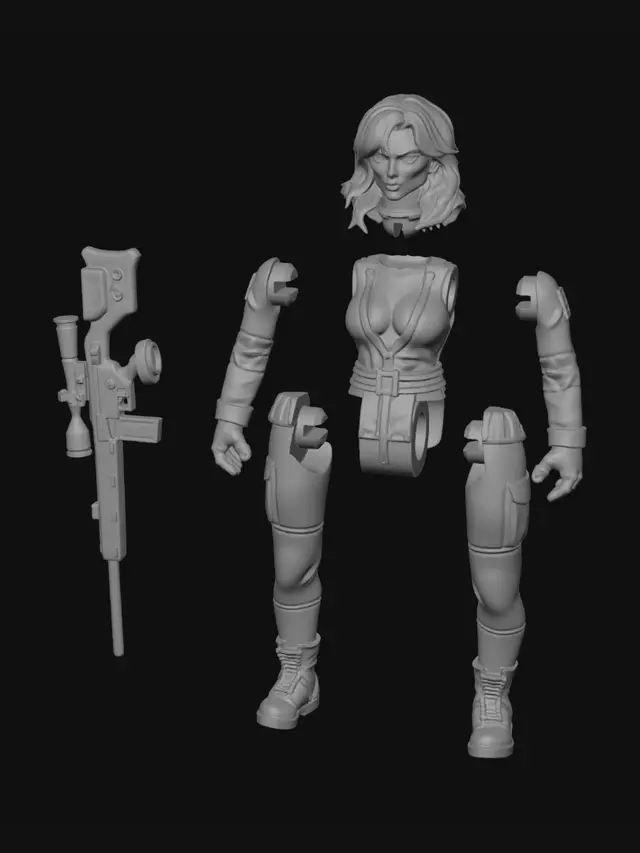3D model for Fragmented Sentinel