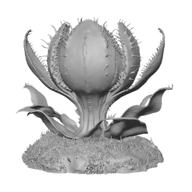 3D model for Venus Blossom