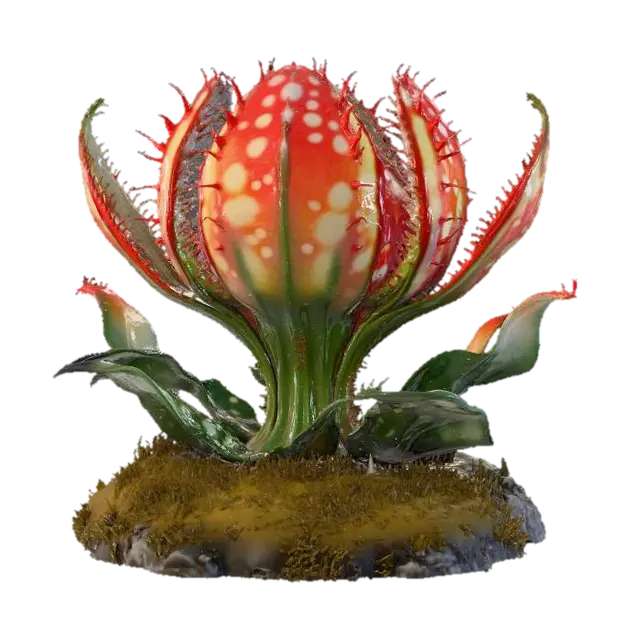 3D model for Venus Blossom