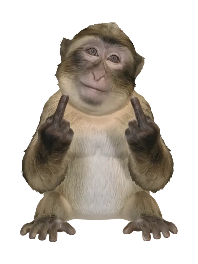 3D model for Attitude Monkey