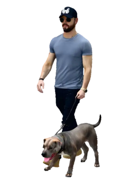 Model 3D Stroll with a Gray Dog - Companion, dijana oleh AI