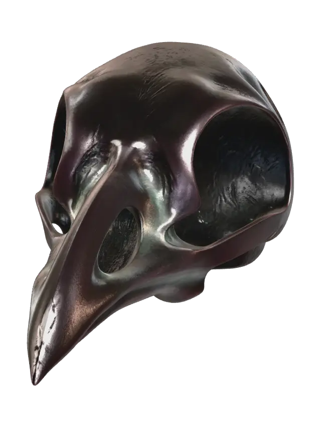 3D model for Stylized Crow Skull