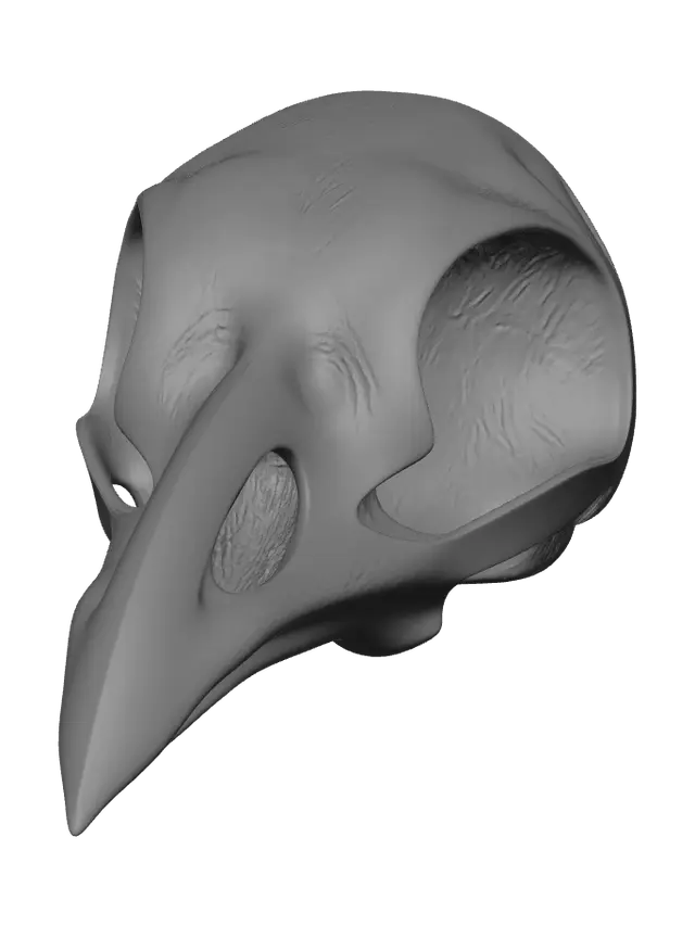 3D model for Stylized Crow Skull