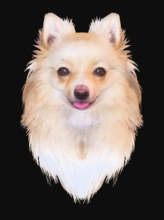 3D model for Fluffy Companion