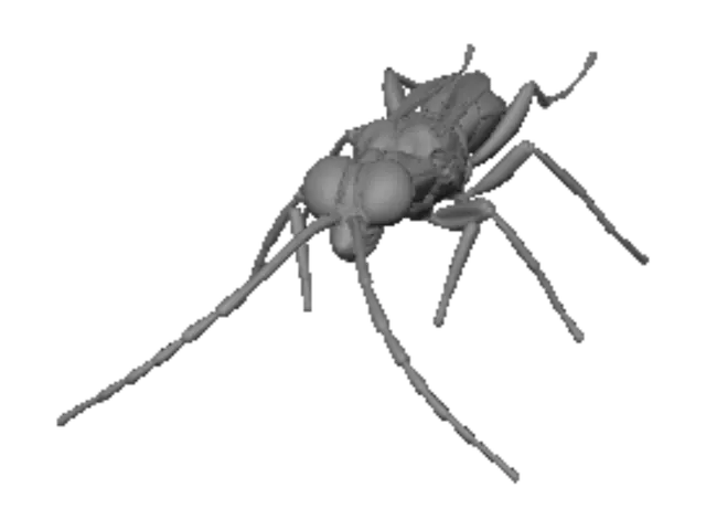 3D model for Iridescent jewel wasp on a rock