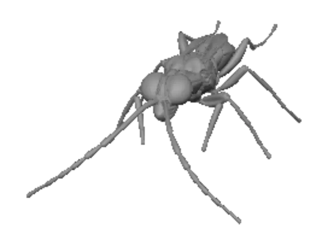 3D model for Iridescent jewel wasp on a rock