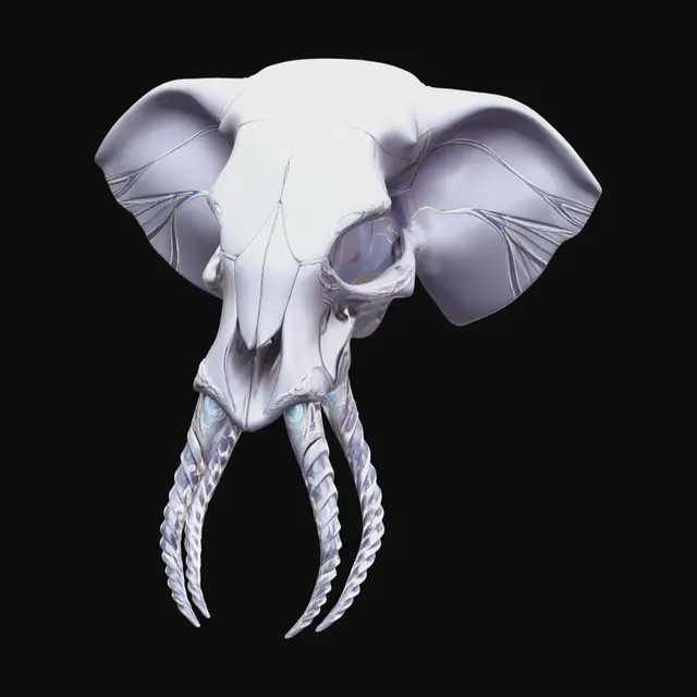 3D model for 