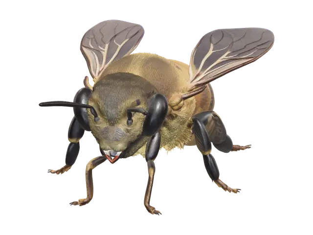 Honey Bee 3D model, vytvořený pomocí AI