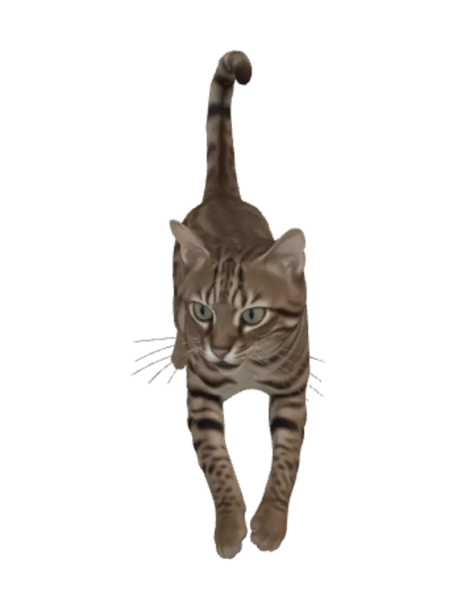 3D model for Jungle Leap