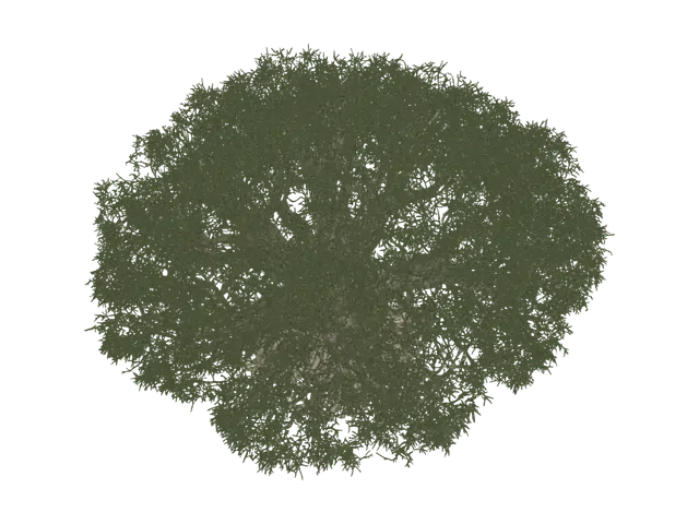 tree - Canopy 3D model, vytvořený pomocí AI
