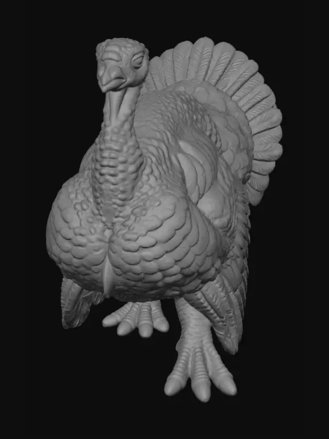 3D model for Midnight Turkey