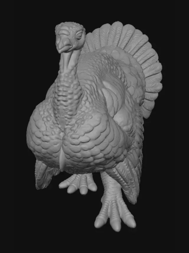 3D model for Midnight Turkey