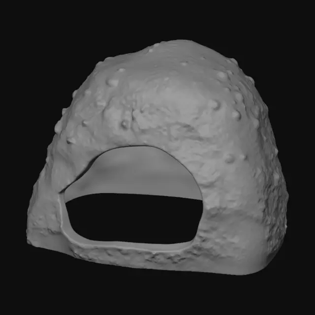 3D model for Mossy Green Helmet