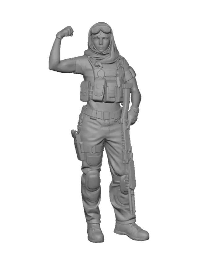 3D model for Vigilant Resolve
