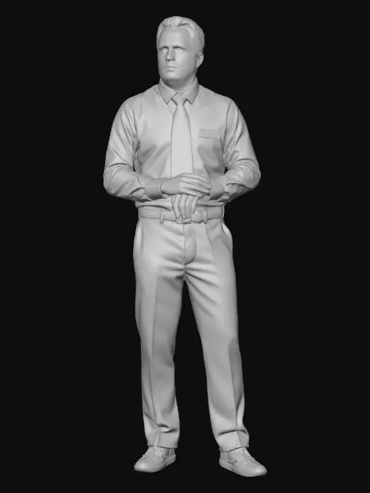 3D model for Corporate Professional Standing