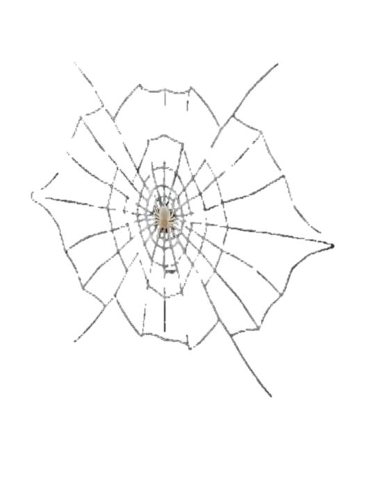 scary spider web - Arachnid 3D model, vytvořený pomocí AI