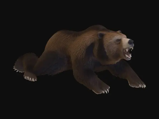 3D model for Roaring Grizzly Bear