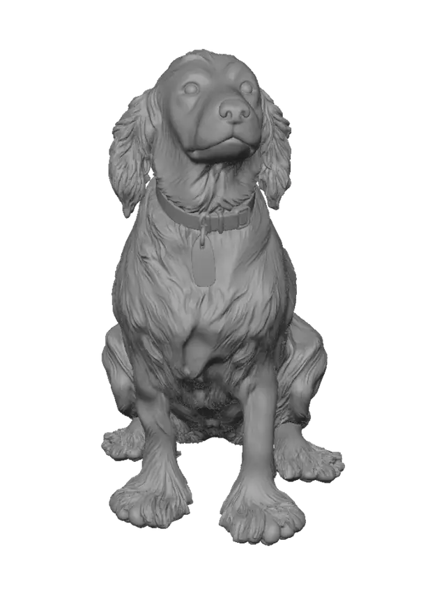 3D model for Shadow on the Stone Path
