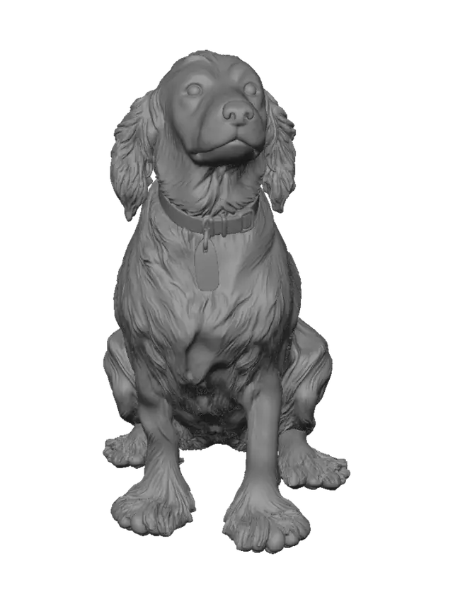 3D model for Shadow on the Stone Path
