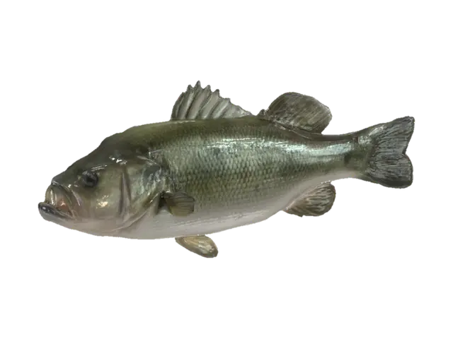 Largemouth Bass 3D model, vytvořený pomocí AI