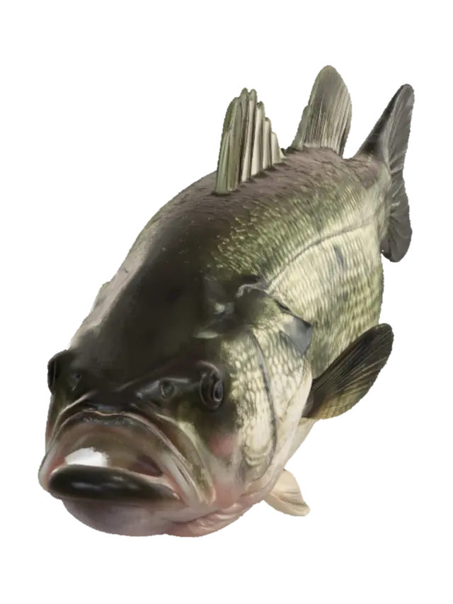 Largemouth Bass 3D model, vytvořený pomocí AI