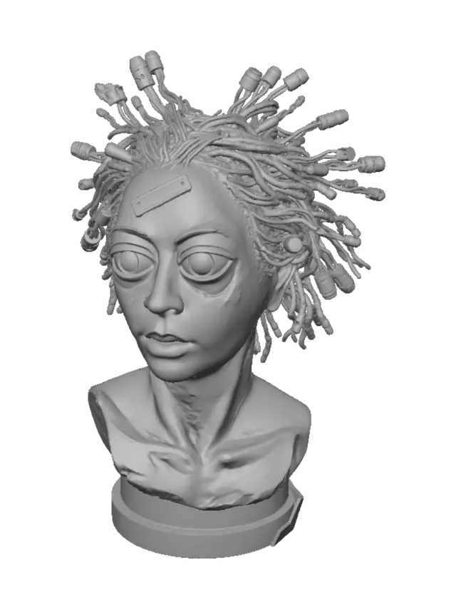 3D model for Circuit Head