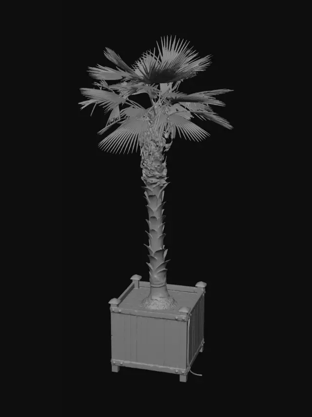 3D model for Palm in a Planter