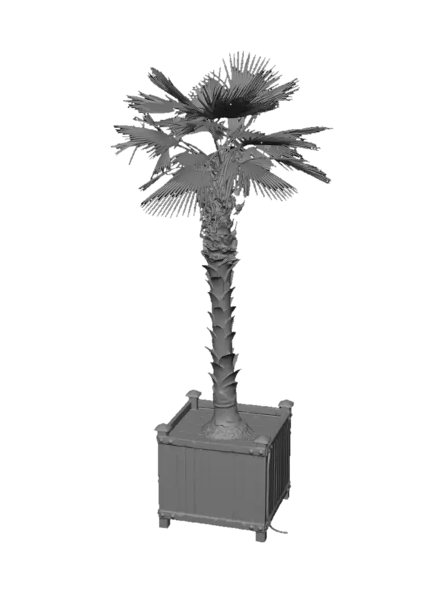3D model for Palm in a Planter