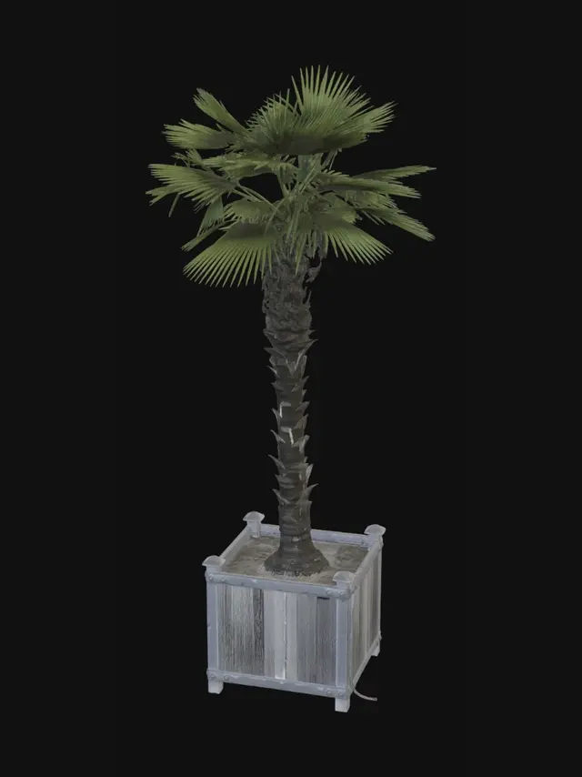 3D model for Palm in a Planter