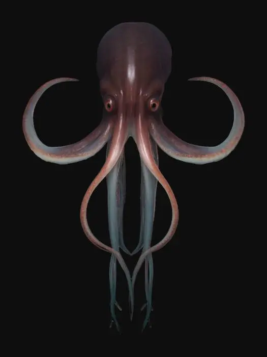 3D model for a giant squid emerging from the inky depths, its long tentacles reaching into the unknown