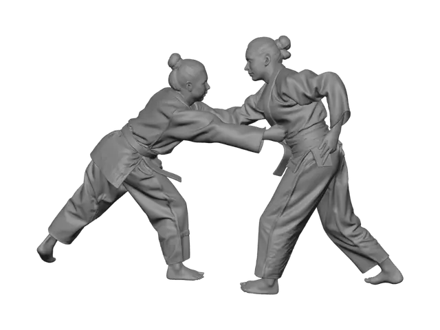 3D model for Judo Duel on the Tatami