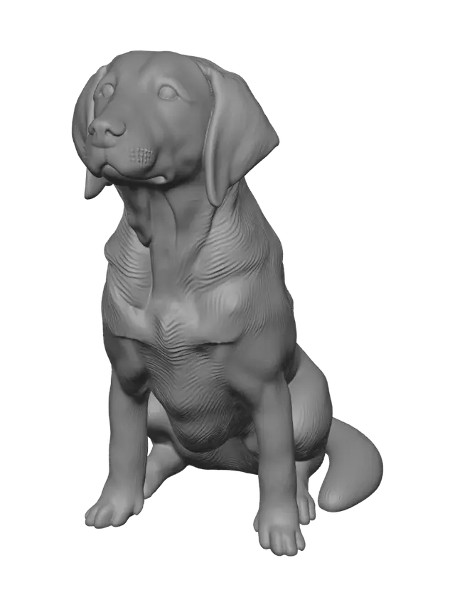 3D model for Sunlit Meadow Pup