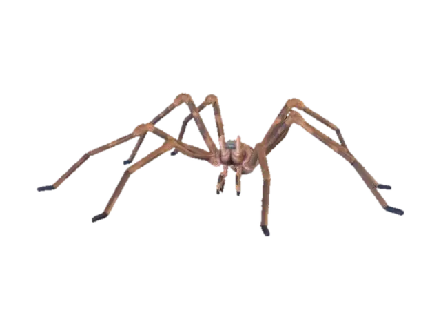 Giant Crab Spider - Galapagos 3D model, vytvořený pomocí AI