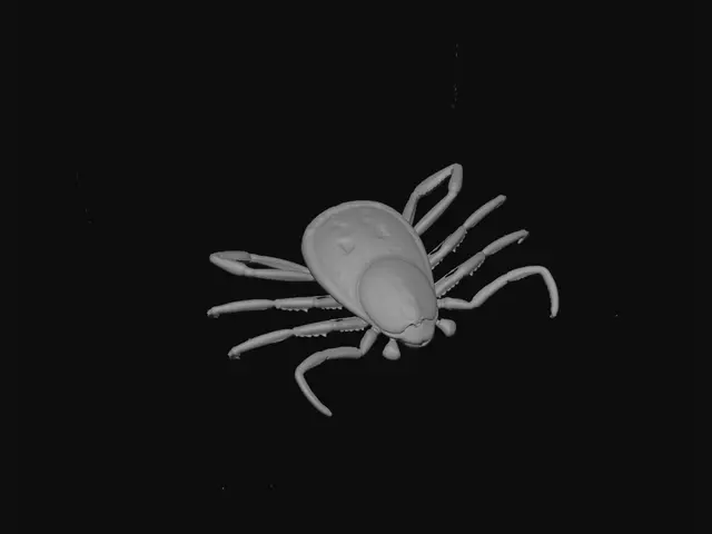 3D model for Tiny Tick on Skin