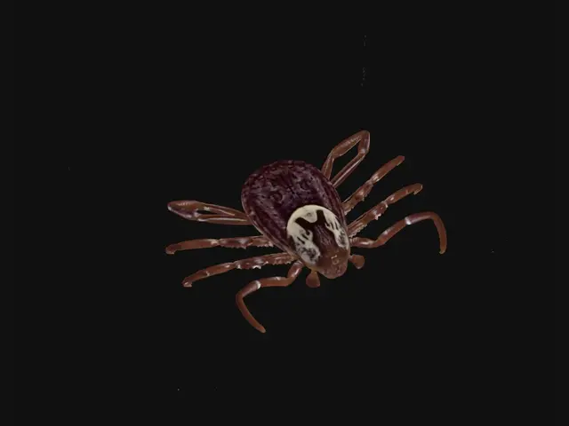 3D model for Tiny Tick on Skin