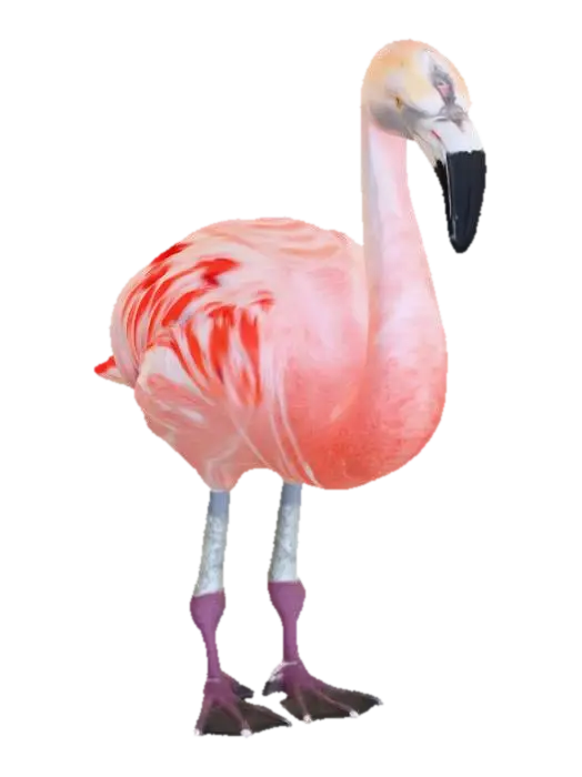 American Flamingo - Galapagos 3D model, vytvořený pomocí AI
