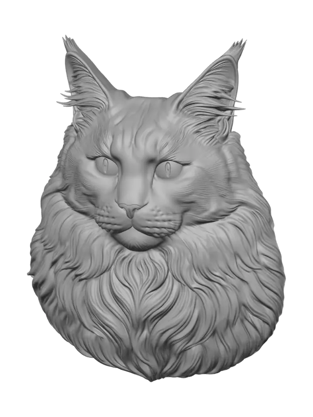 3D model for Marble Maine Coon Portrait